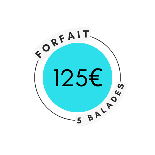 prix balade de chiens